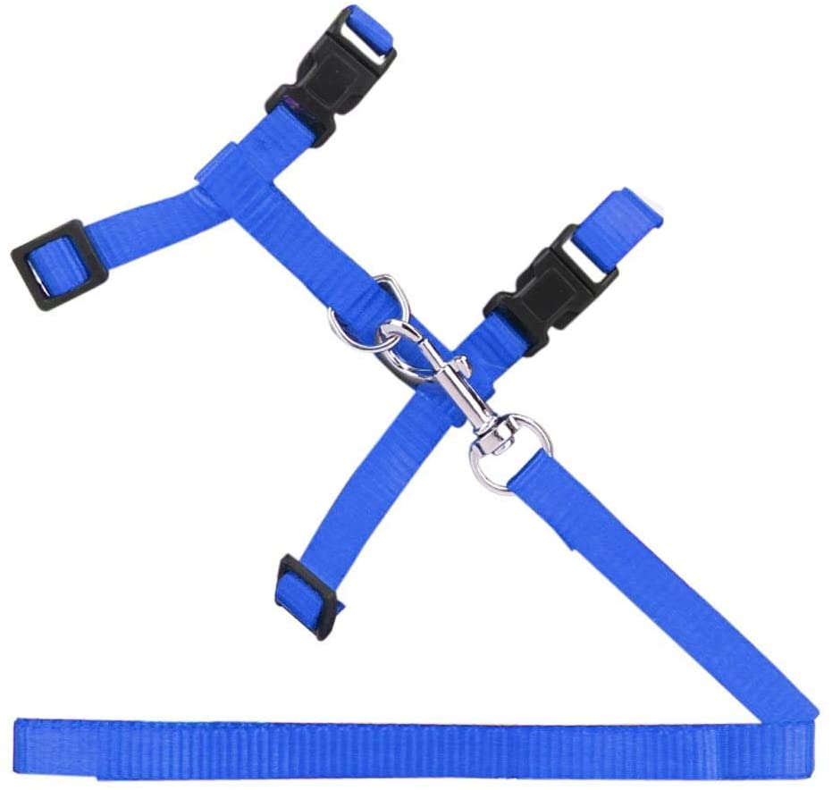 Mumoo Bear Cat, Rabbit Harness & leash, Nylon Traction Chest Strap, Adjustable up to 45cm, with quick release buckles - Blue
