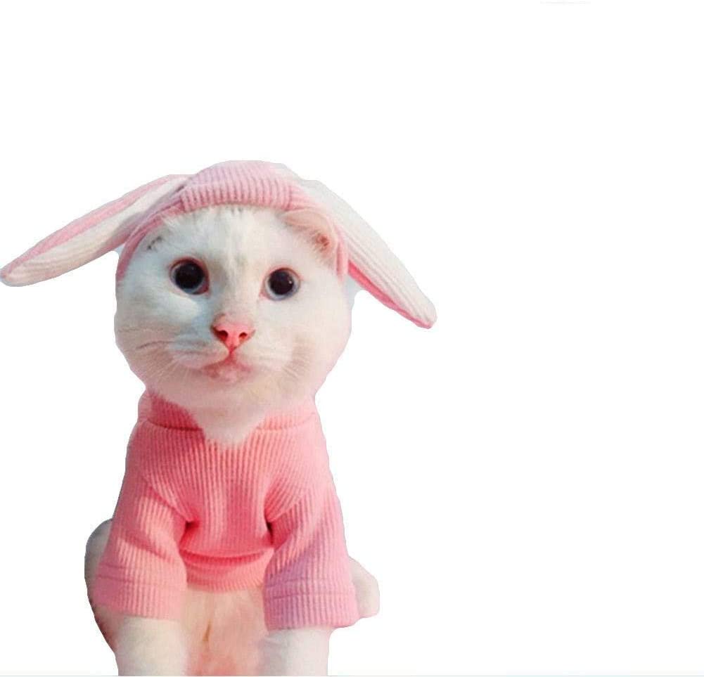 Mumoo Bear Pet Hoodies Knitted Sweaters with Cute Rabbit Ears Cat Dog Pink Grey Clothes for Spring and Autumn