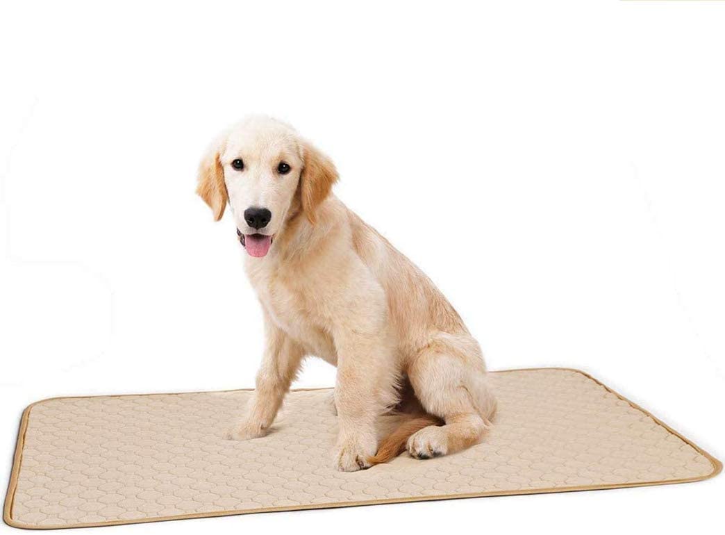 Mumoo Bear Washable Large Pee Pads for Dogs, Dog Training Puppy Wee Whelping Pad for Home Apartment Travel, Beige by Mumoo Bear