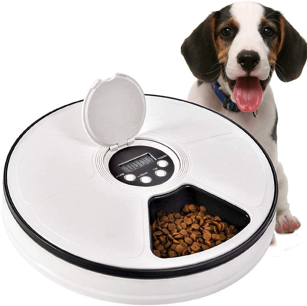 Automatic dog cheap treat feeder